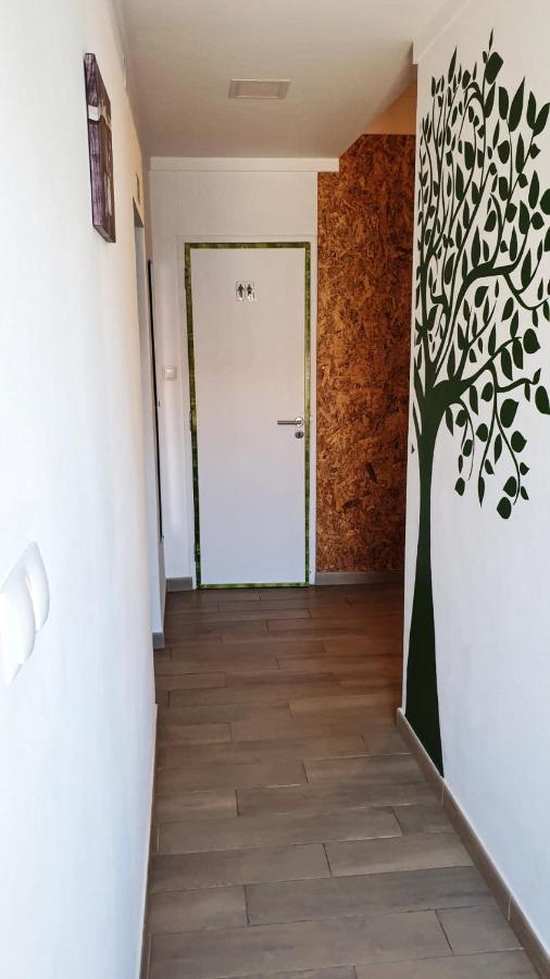 Roots Apartment Zambujeira do Mar Kültér fotó